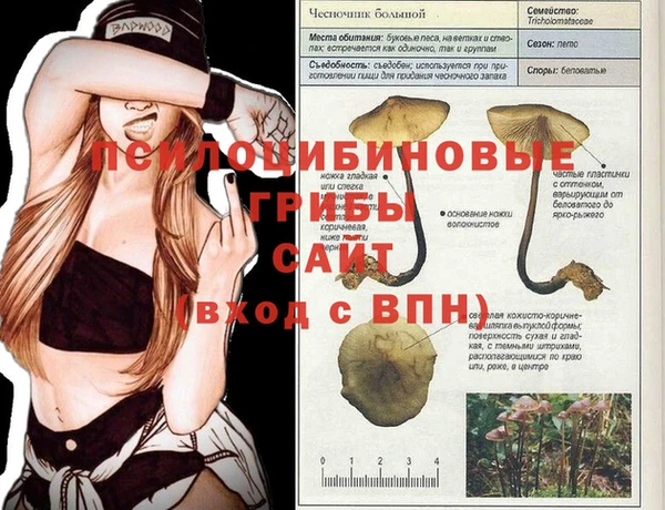 mdma Медногорск