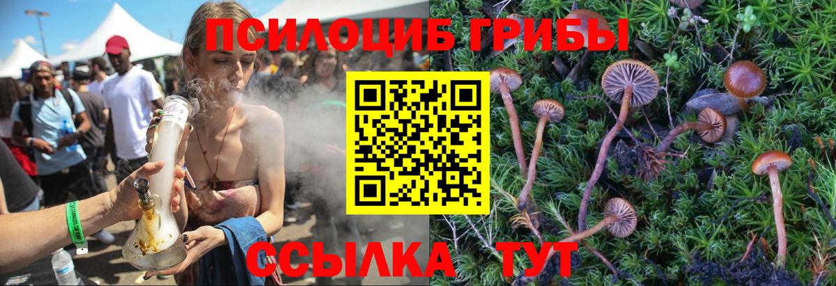 Галлюциногенные грибы GOLDEN TEACHER Ставрополь