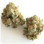 Шишки "White Widow"  (Белая вдова)  Гидропоника -  Бошка VHQ в Ставрополе