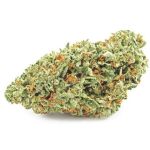 Шишки OG Kush  (Гидропоника, бошки) VHQ в Ставрополе